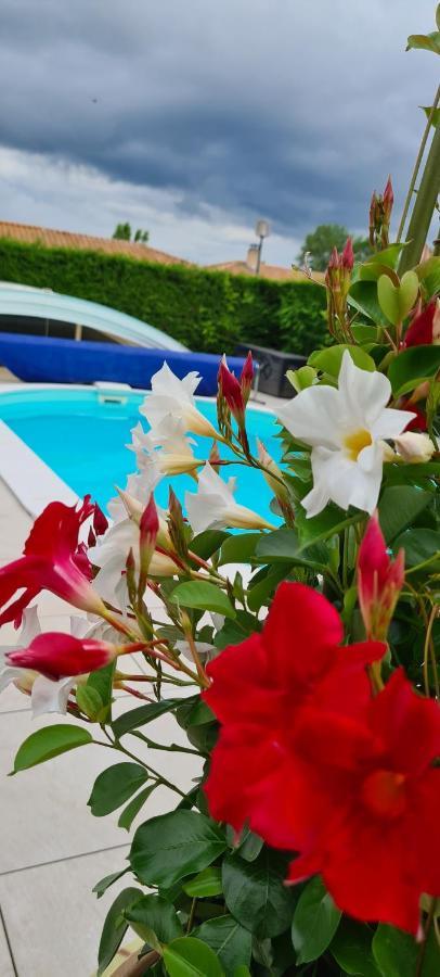 2 logements séparés indépendants jusqu'à 5 personnes, piscine chauffée à 3 min du Puy du Fou Les Epesses Les Épesses Exterior foto